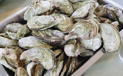 国产成人A人亚洲精V品无码